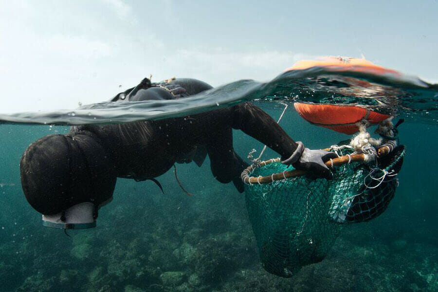 The Korean Sea Woman [ 해녀 Haenyeo Diver] - The closest living thing to ...