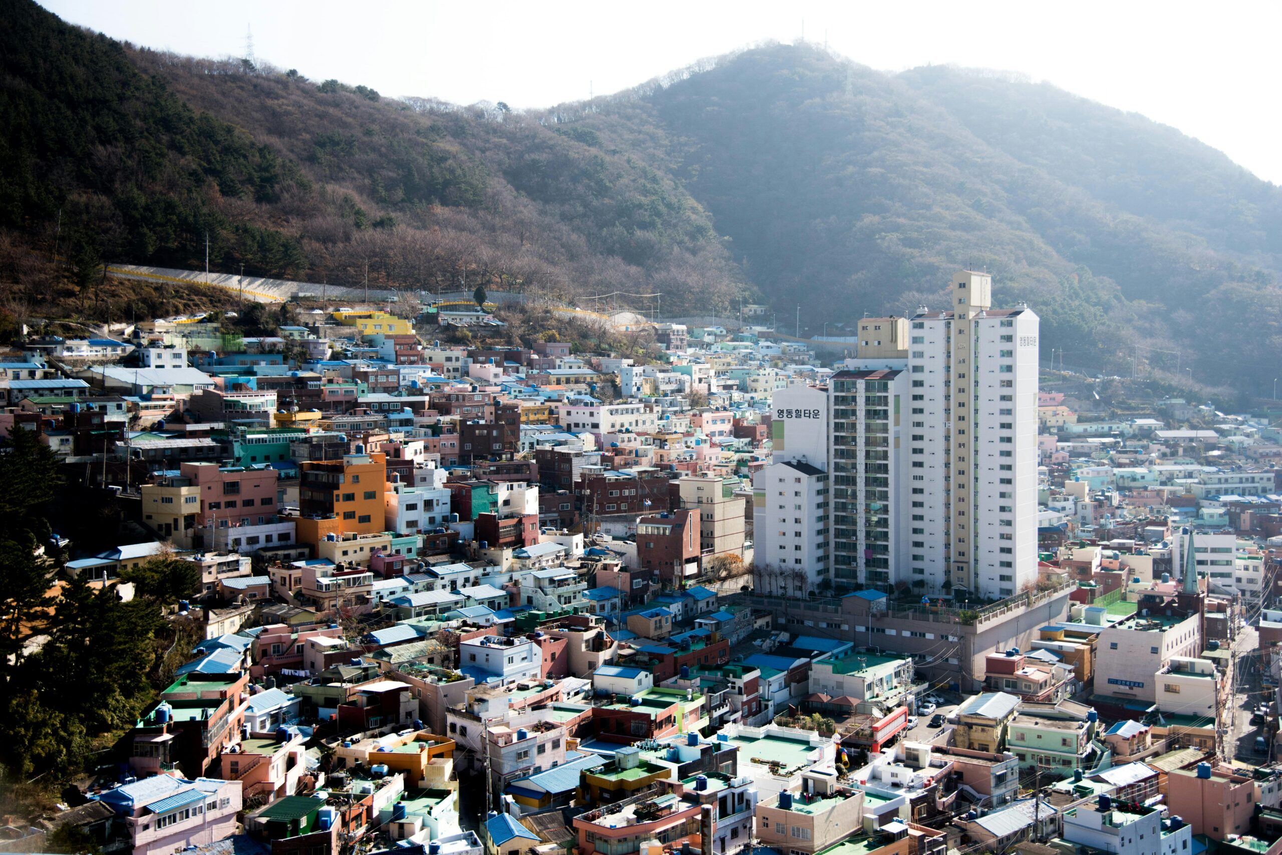 Korean social setting
